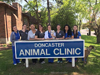 Green Lane Animal Hospital