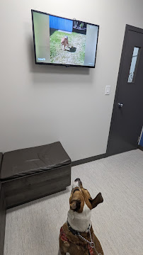 Lakeview Animal Hospital