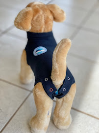 Lakeshore Road Animal Hospital