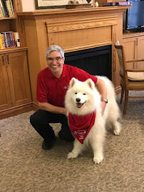 Oakville Lakeshore Animal Hospital
