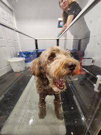 Joshua Creek Animal Hospital