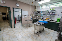 VCA Canada Bayview Animal Hospital