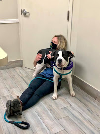 Vanier Animal Hospital