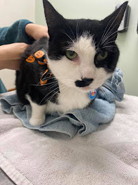 Bank Street Animal Hospital