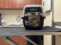 Vimy Bridge Animal Hospital