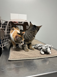 Queensway West Animal Hospital