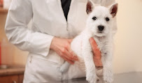 Centrepointe Animal Hospital