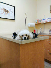 Centrepointe Animal Hospital