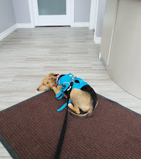 Stittsville Kanata Veterinary Hospital