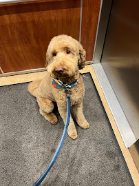 VCA Canada Bells Corners Animal Hospital