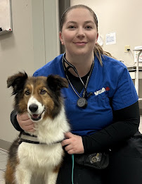 Prince Of Wales Animal Hospital