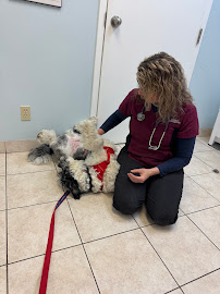 VCA Canada Blair Animal Hospital