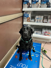 VCA Canada Kanata Animal Hospital