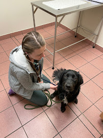 VCA Canada Kanata Animal Hospital