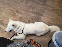 Fisher Glen Animal Hospital