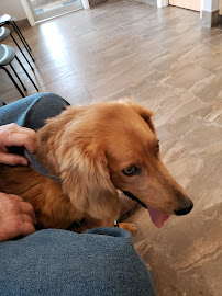 Fisher Glen Animal Hospital