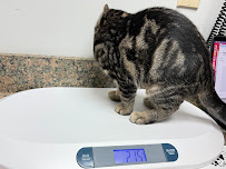 Chapel Hill Veterinary Clinic
