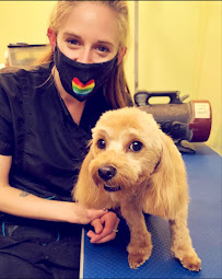 PetNation Animal Hospital
