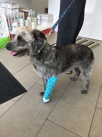 St. Clair East Animal Hospital