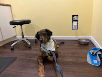 Trenton Pet Hospital