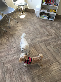 Darlington Veterinary Hospital