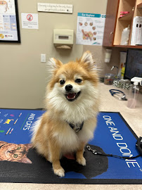 Market Lane Animal Hospital