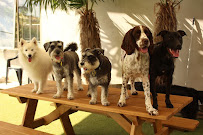 Paw Hub Pet Grooming
