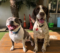 Paw Hub Pet Grooming
