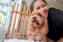 Boutique Dog Grooming