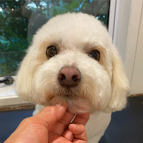 Nose To Tail