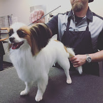 Dog Grooming by Michael
