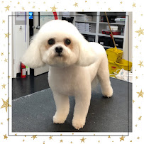Dog Grooming by Michael