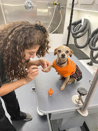 Purfect Paws Mobile Pet Grooming