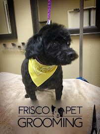 Frisco Pet Grooming