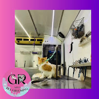 Mia's Pet Grooming