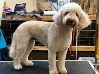 Kountry Kritters LLC