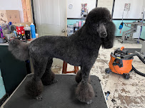 SPAW Pet Grooming & Boutique