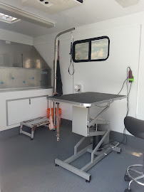 Mobile Grooming Dog Salon