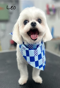 Furever Friends Grooming