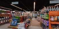 Ashario Pet Store - Pet Supplies, Pet Food, Health & Wellness - North York, Toronto - 1111A Finch Ave West Unit 2 - M3J 2P7