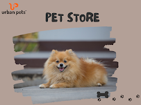 PANNKH DESIGNER PET WEAR