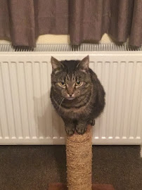 Direct 4 Pet (Black Cat Medicines Ltd)