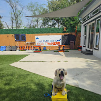 Alamo City Dog Trainers