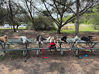 Sit Means Sit South Austin