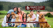 Smarty Paws Dog Training