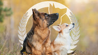 Dog Training Elite Frisco