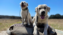 A Better Bond Dog Training