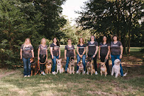 Sit Means Sit Dog Training - Fort Worth