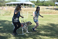 The Canine Center