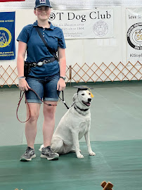 Houston Obedience Training (HOT) Dog Club